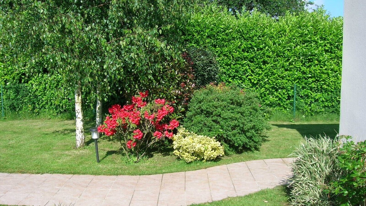 Photo of Outdoor in Auppegard