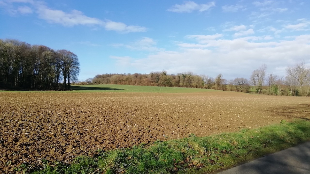 Photo of Outdoor in Hubersent