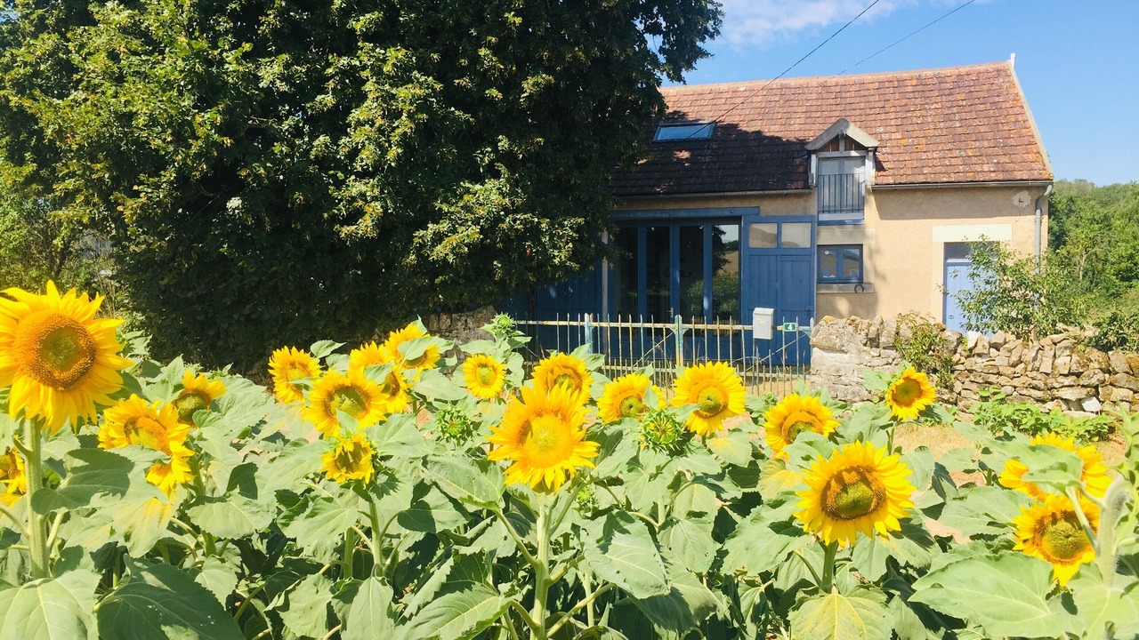 Photo of Outdoor in Pazy