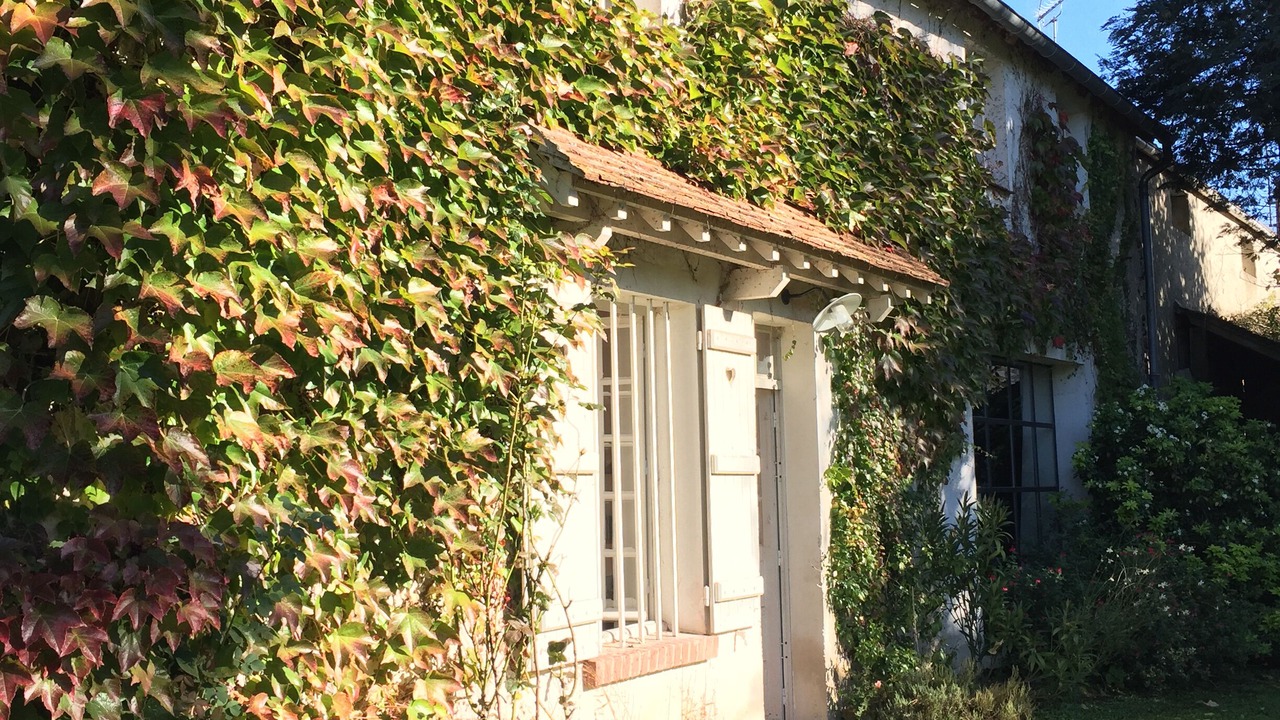 Photo of Outdoor in Saint-Augustin