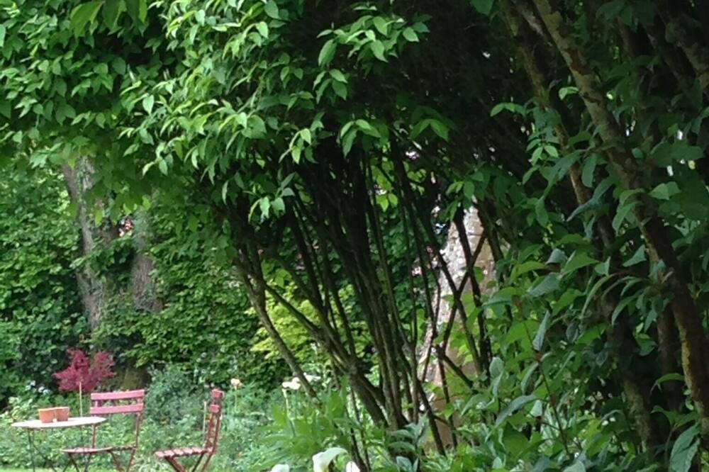 Photo of Outdoor in Le Mesnil-Theribus