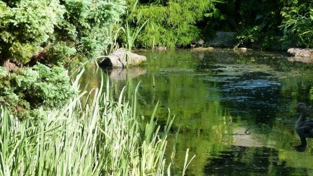 Photo of Outdoor in Abbeville