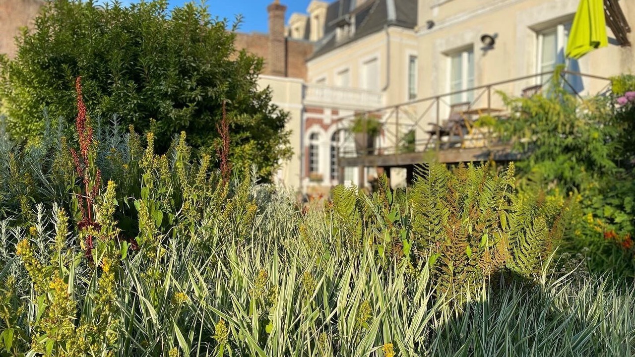 Photo of Outdoor in Abbeville