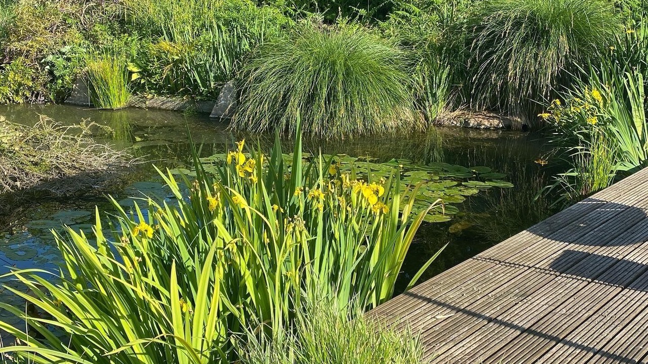 Photo of Outdoor in Abbeville