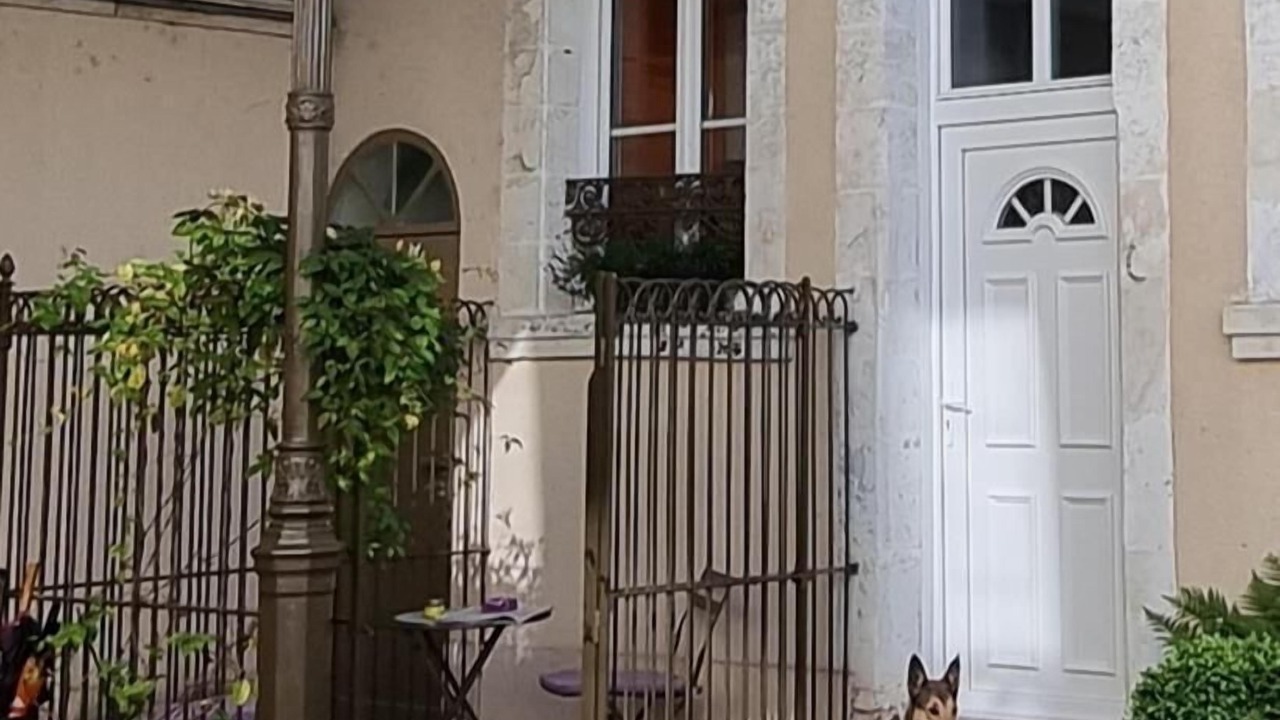 Photo of Outdoor in Abbeville