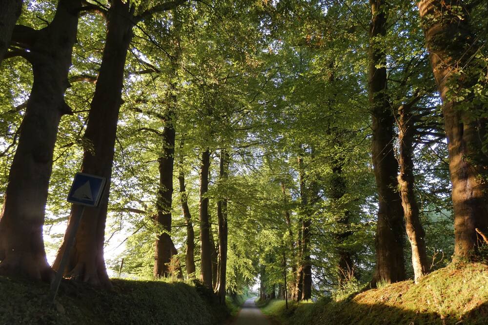 Photo of Outdoor in Criquetot-lʼEsneval