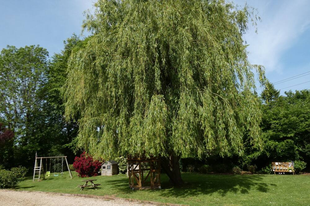 Photo of Outdoor in Criquetot-lʼEsneval