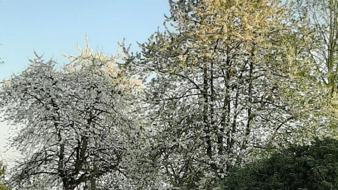 Photo of Others in Saint-Fraimbault