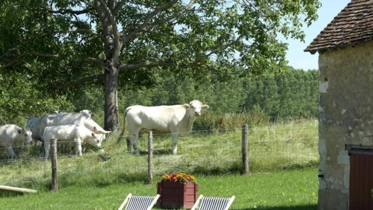 Photo of Outdoor in Pervencheres