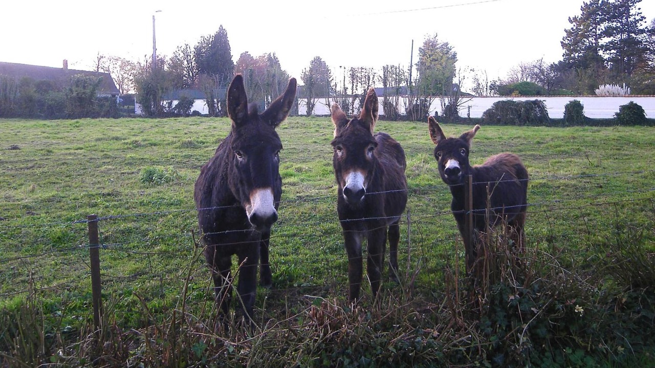 Photo of Outdoor in Tigny-Noyelle