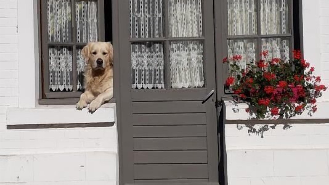 Photo of Outdoor in Tigny-Noyelle