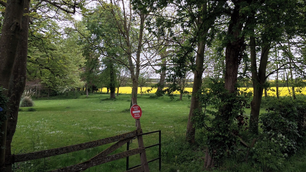 Photo of Others in Wissant