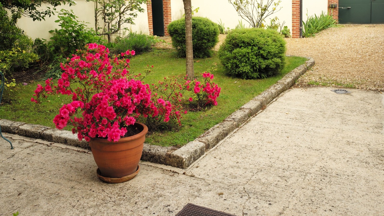 Photo of Outdoor in Chartres