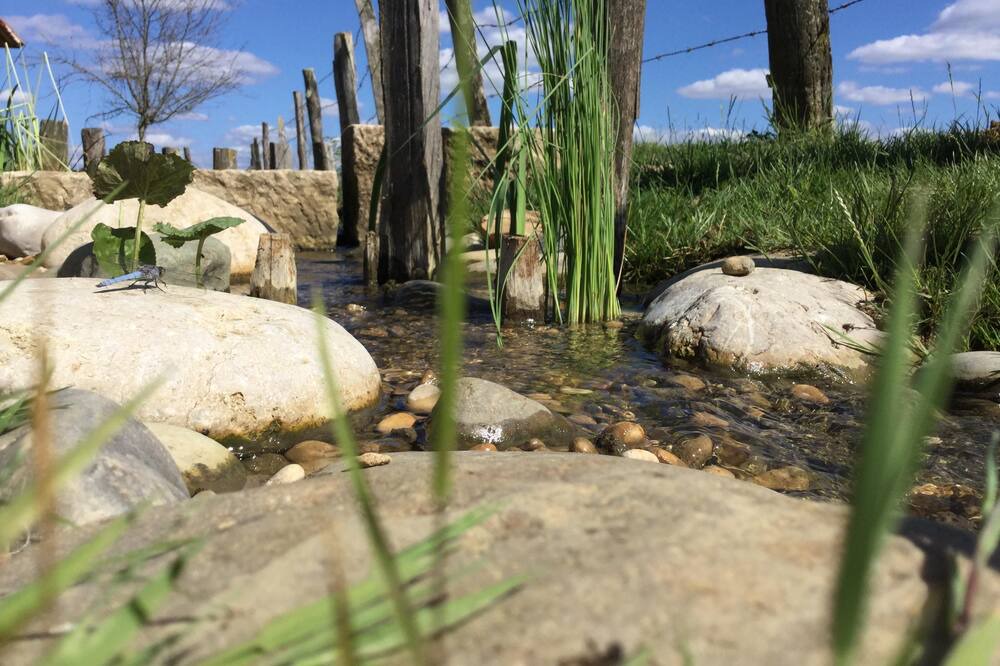 Photo of Outdoor in Courlaoux