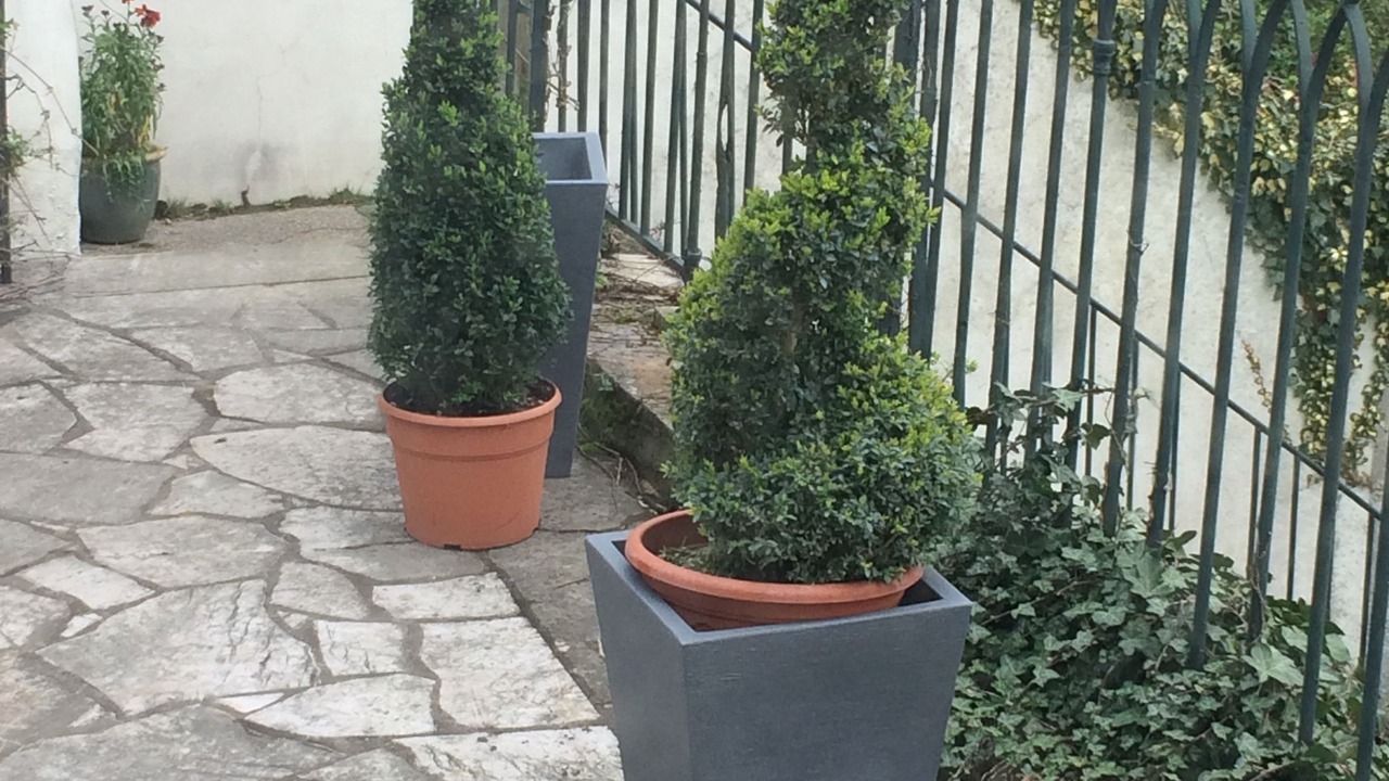 Photo of Outdoor in Boulogne-Centre