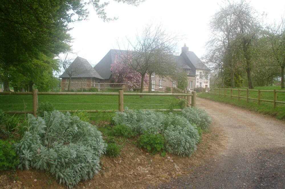 Photo of Outdoor in Bretteville-du-Grand Caux