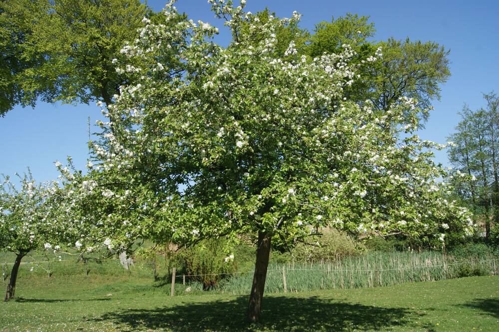 Photo of Outdoor in Bretteville-du-Grand Caux