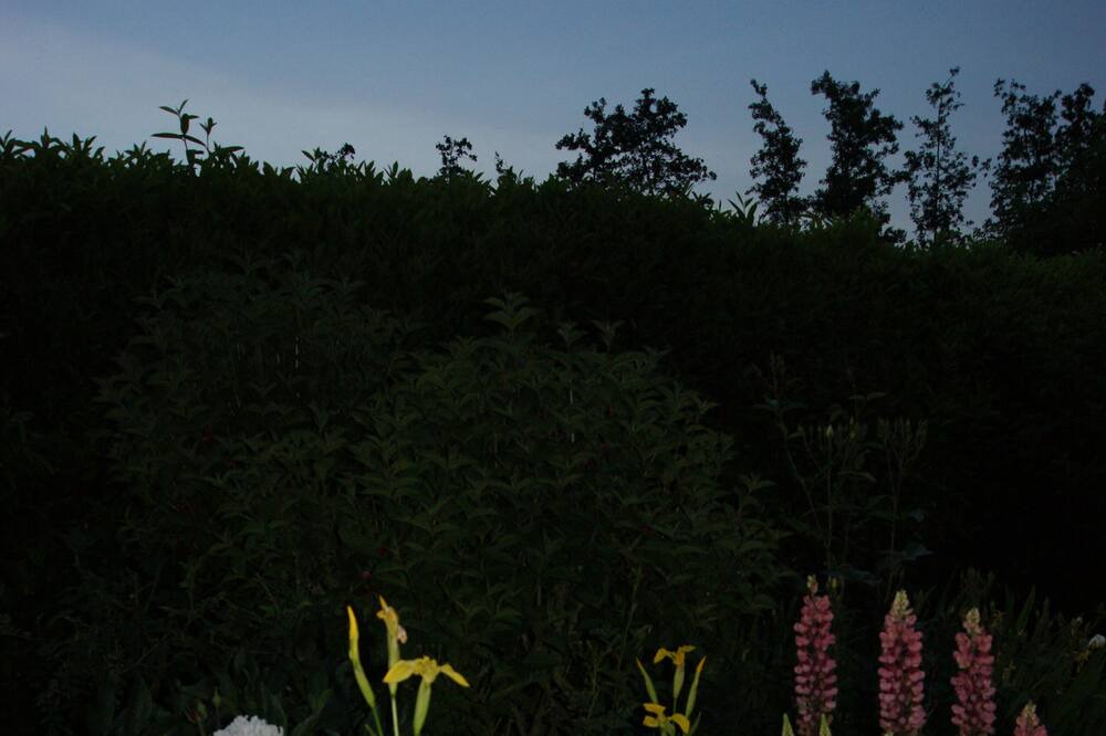 Photo of Outdoor in Bretteville-du-Grand Caux