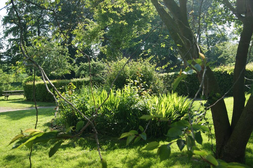 Photo of Outdoor in Bretteville-du-Grand Caux