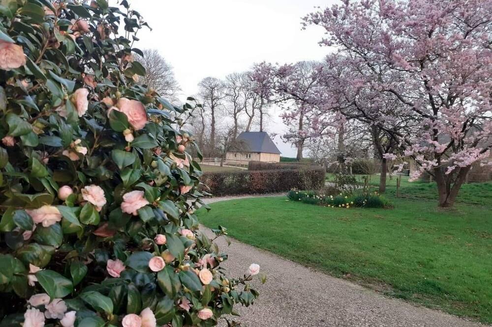 Photo of Outdoor in Bretteville-du-Grand Caux