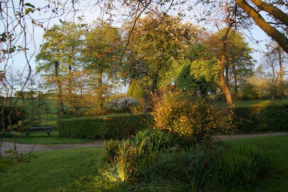 Photo of Outdoor in Bretteville-du-Grand Caux