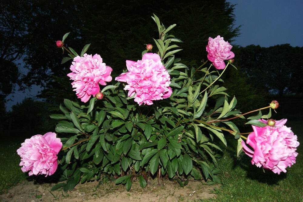 Photo of Outdoor in Bretteville-du-Grand Caux