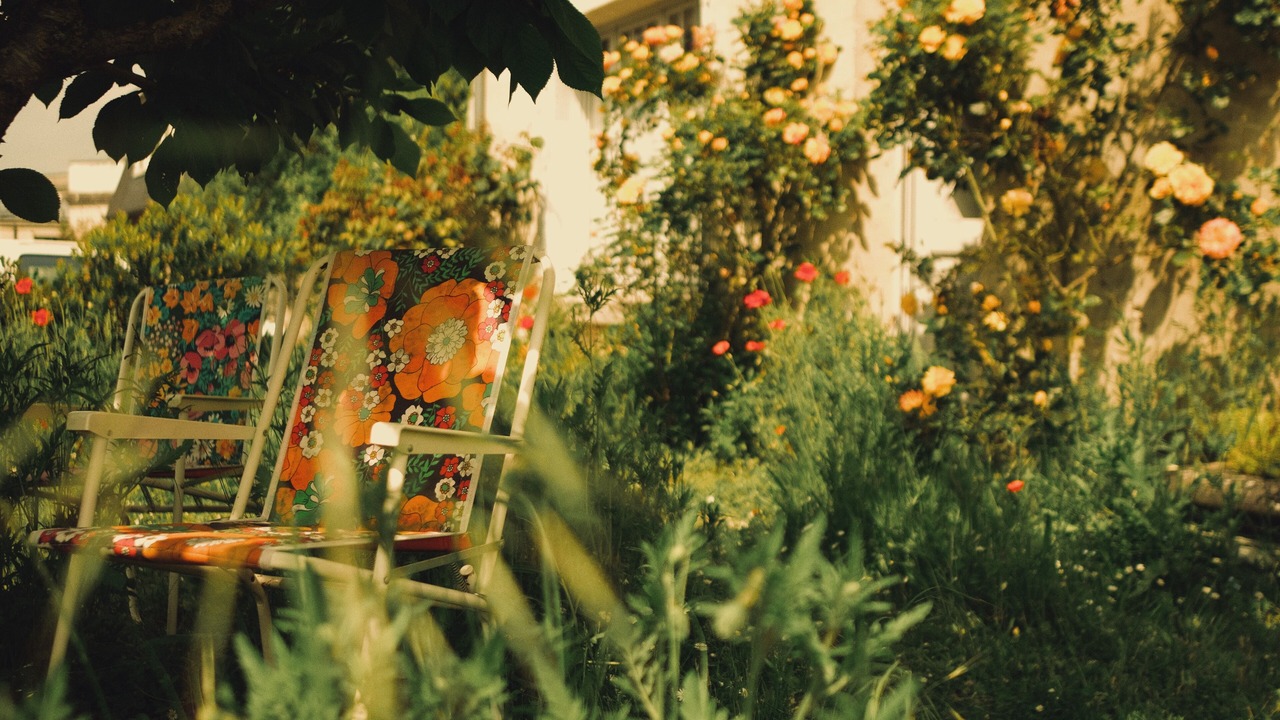 Photo of Outdoor in Coucy-le-Chateau-Auffrique