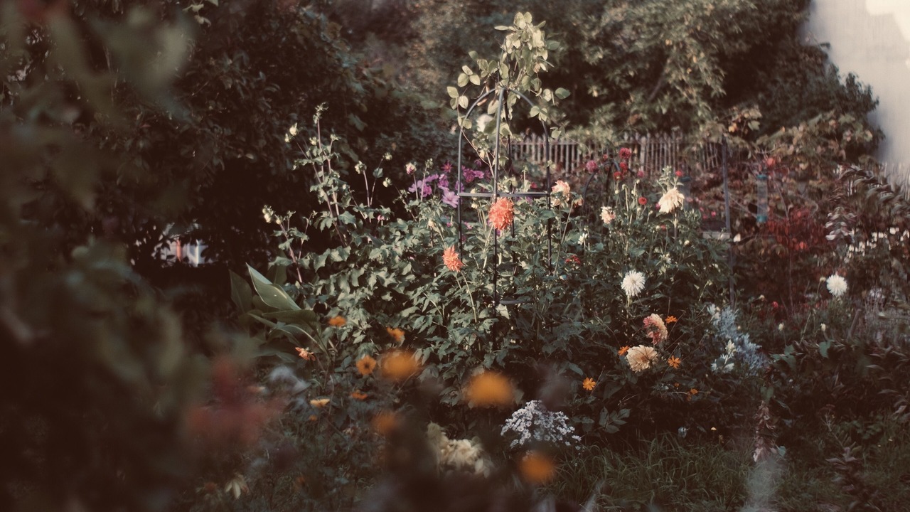 Photo of Outdoor in Coucy-le-Chateau-Auffrique