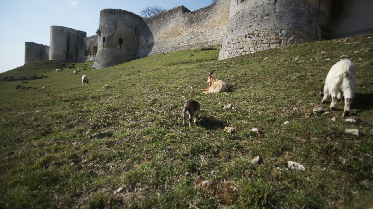 Photo of Outdoor in Coucy-le-Chateau-Auffrique