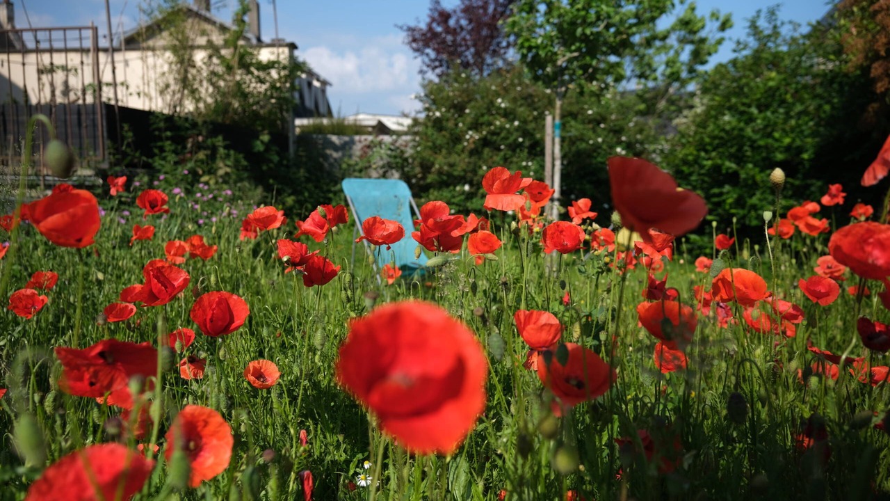 Photo of Outdoor in Coucy-le-Chateau-Auffrique