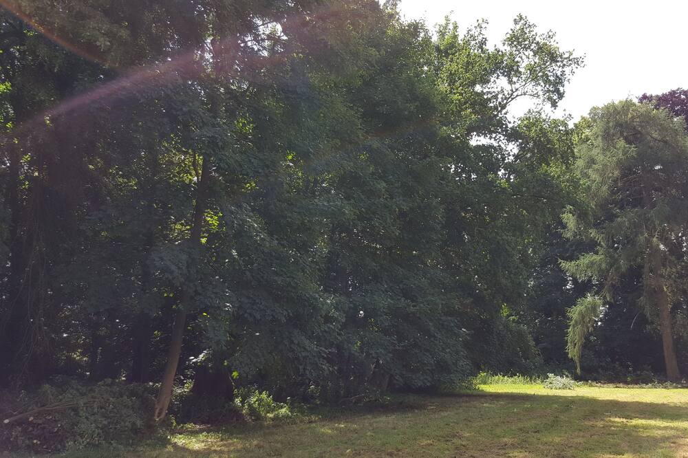 Photo of Outdoor in Humieres