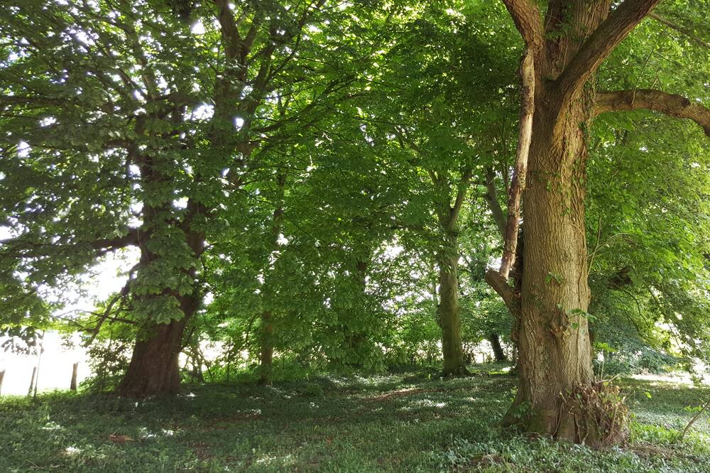 Photo of Outdoor in Humieres