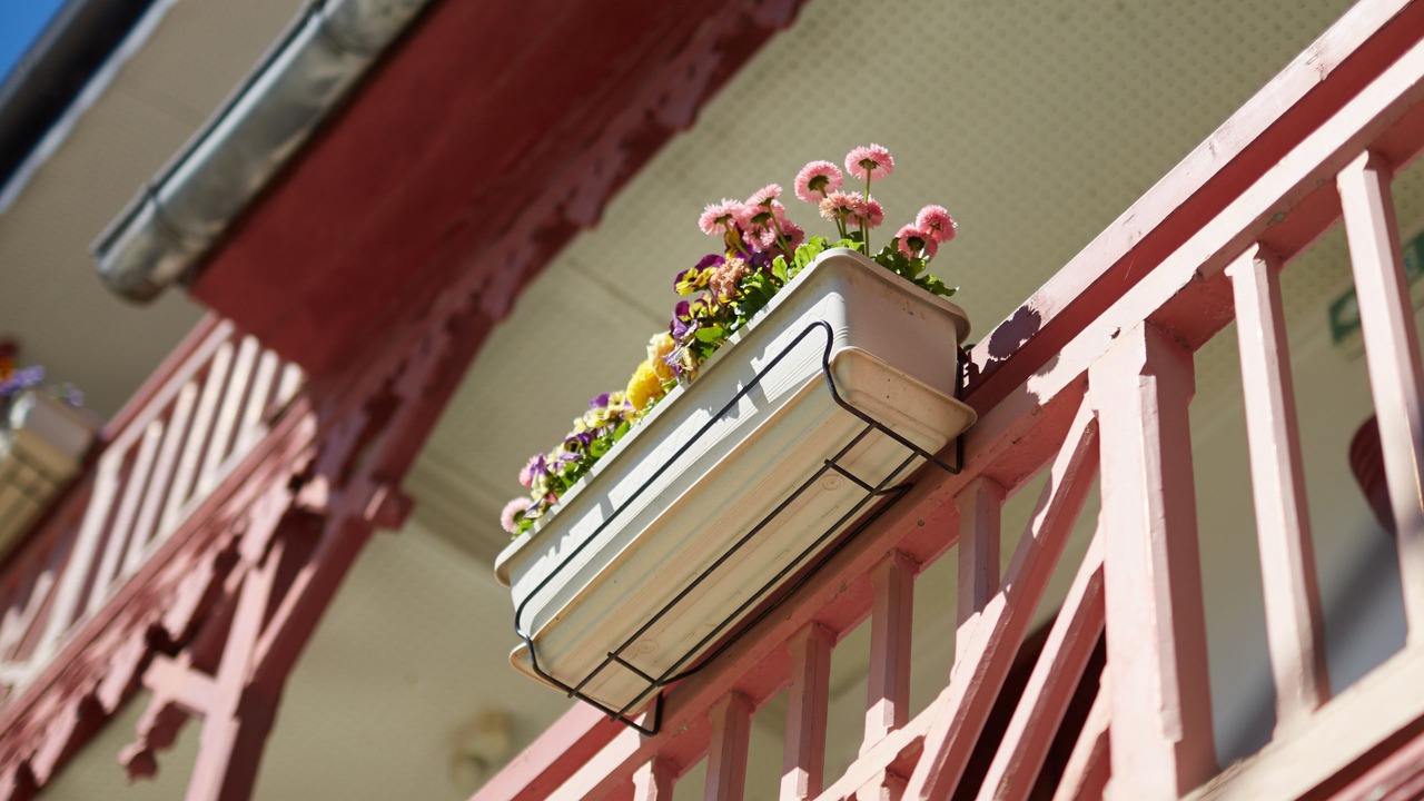 Photo of Outdoor in Saint-Valery-sur-Somme