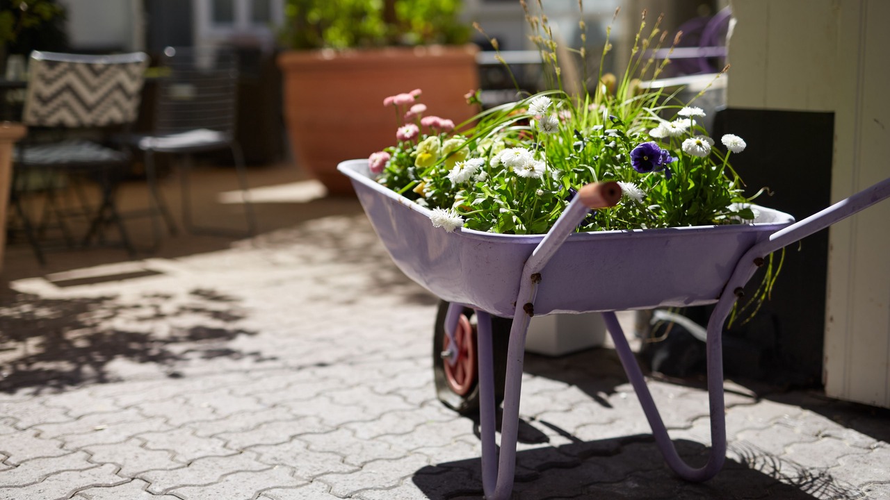 Photo of Outdoor in Saint-Valery-sur-Somme