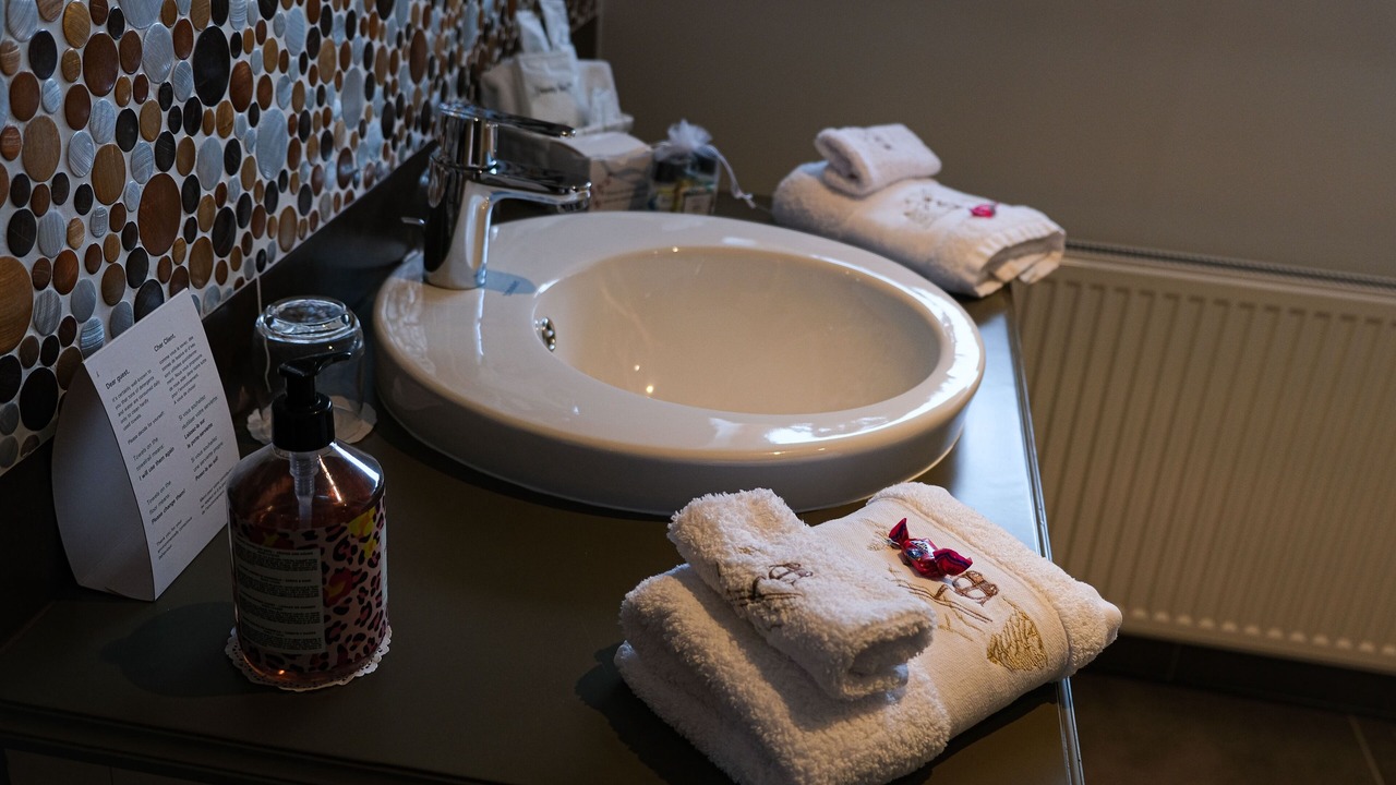 Photo of Bathroom in Sains-du-Nord