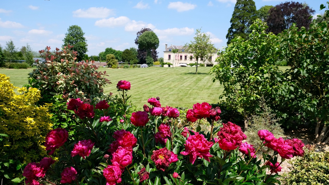 Photo of Outdoor in Sains-du-Nord