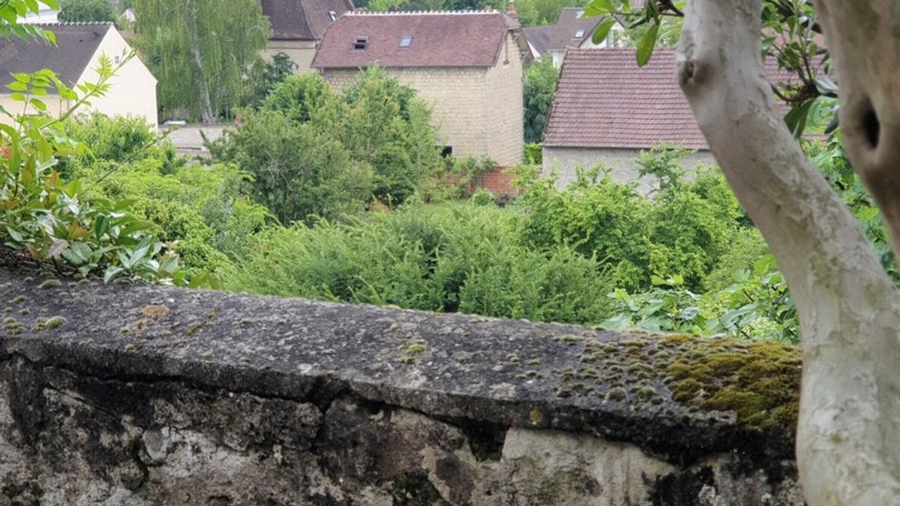 Photo of Others in Auvers-sur-Oise