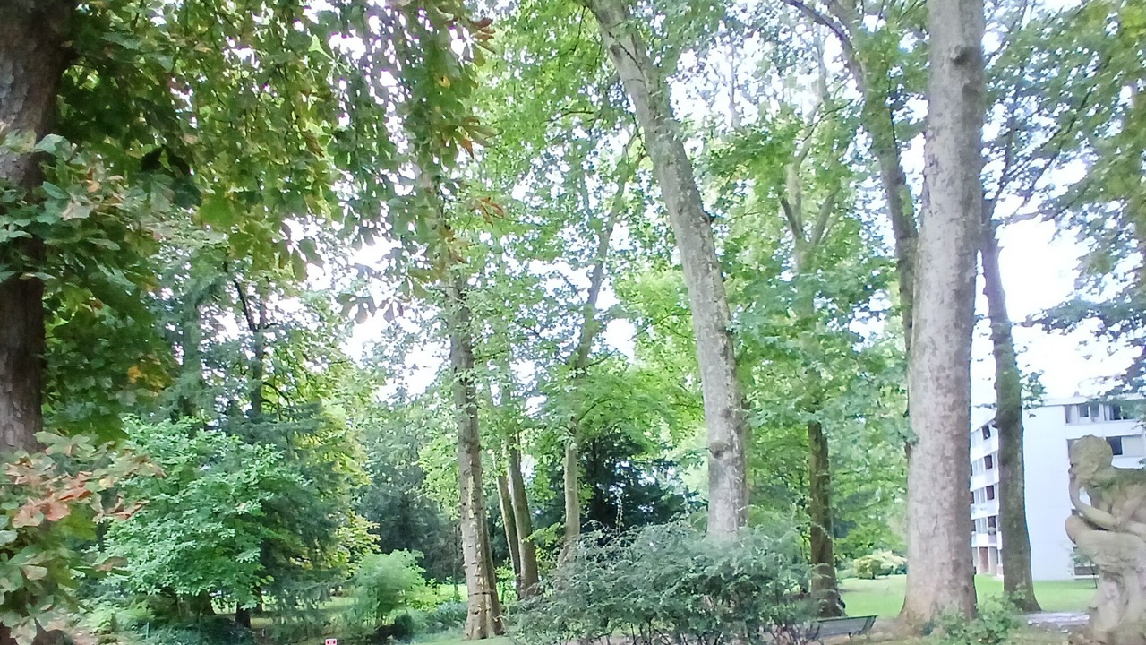 Photo of Outdoor in Boussy-Saint-Antoine