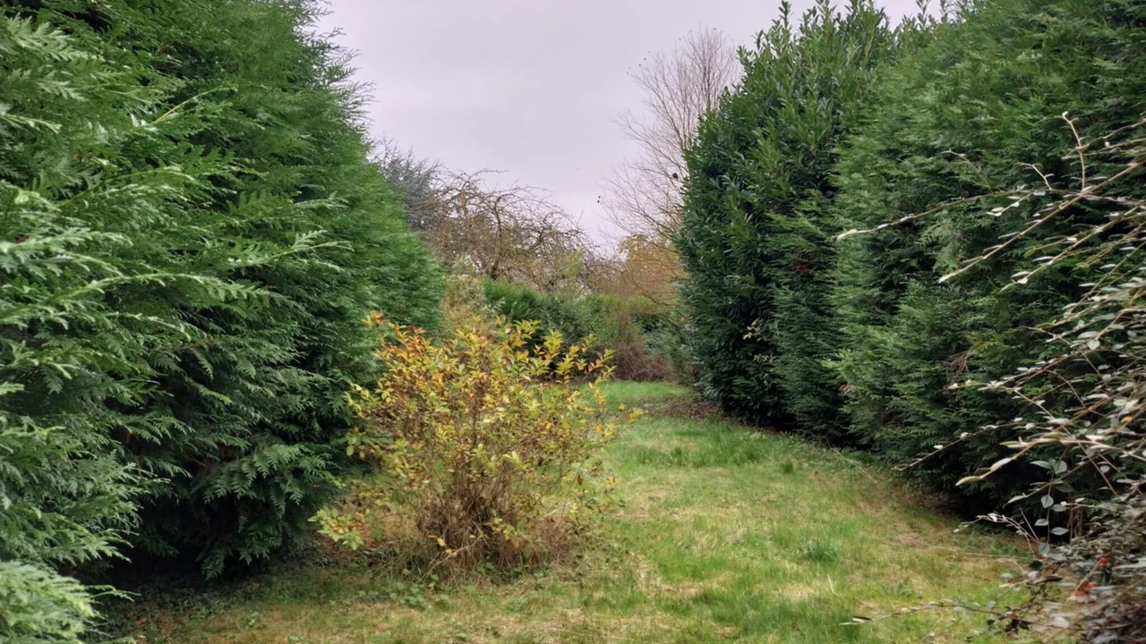 Photo of Outdoor in Roye