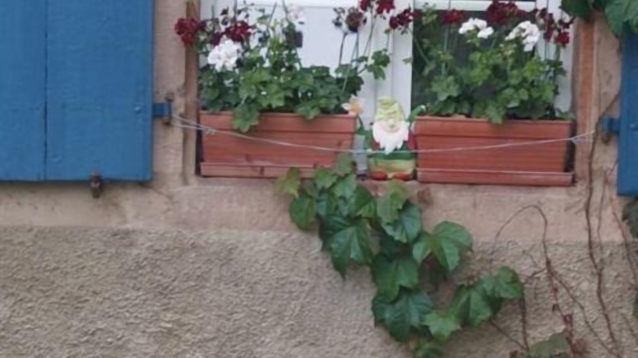 Photo of Outdoor in Le Hohwald