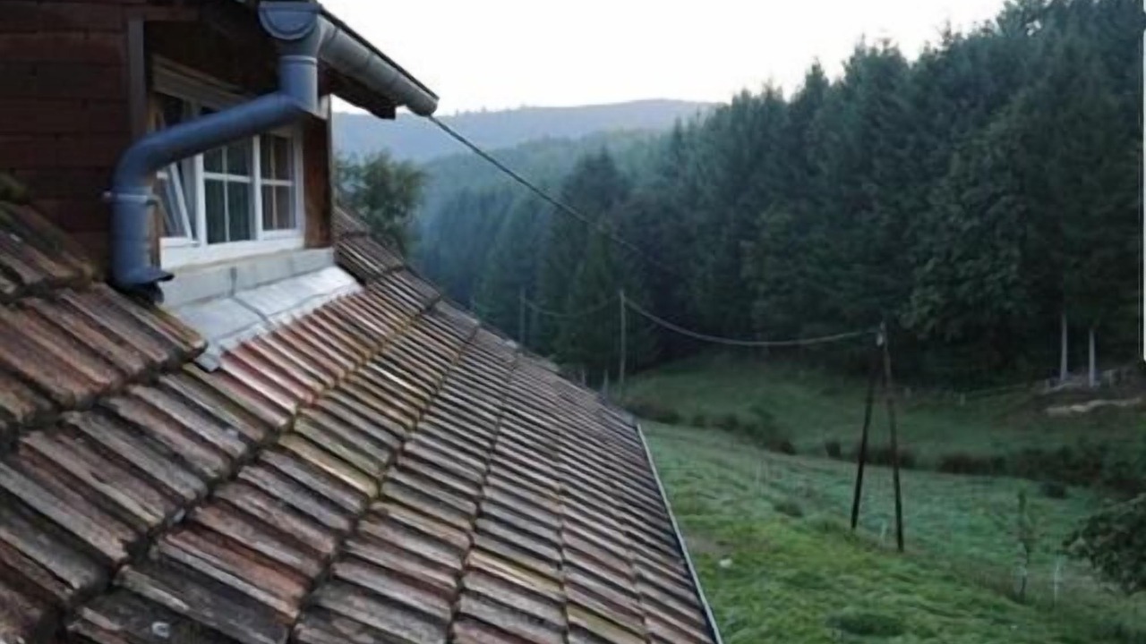 Photo of Others in Le Hohwald