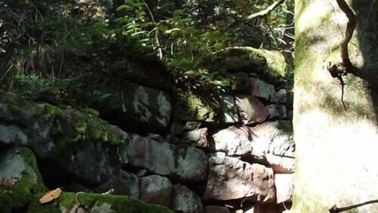Photo of Outdoor in Le Hohwald
