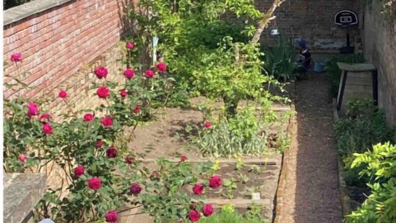 Photo of Patio Balcony in Henriville