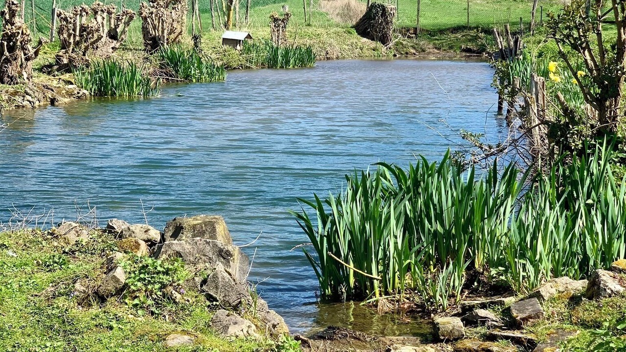 Photo of Outdoor in Flagy