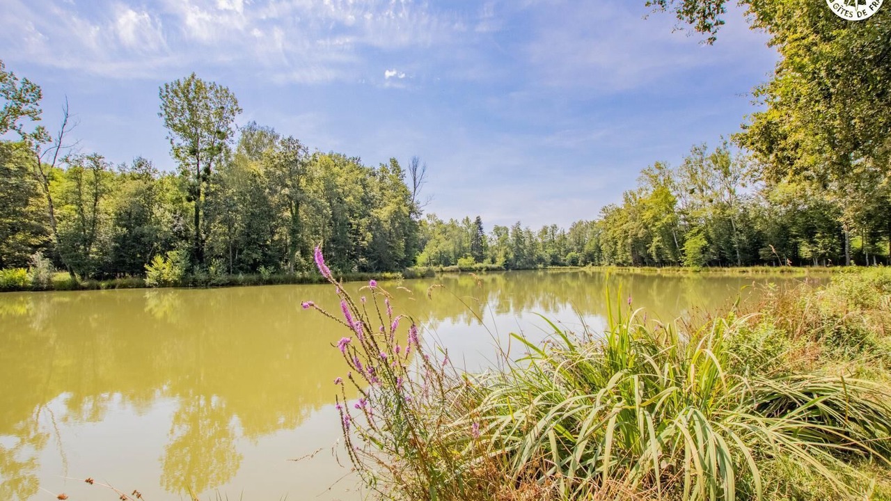 Photo of Outdoor in Dommartin-les-Cuiseaux