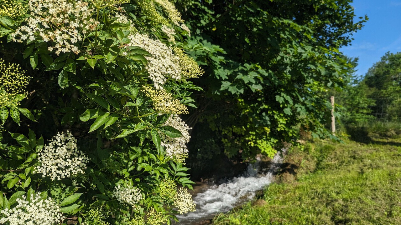 Photo of Others in Brennes