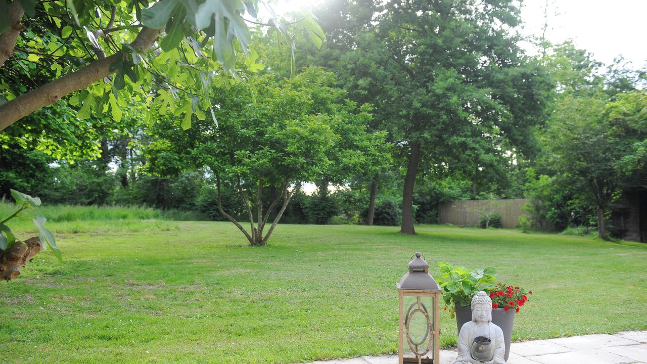 Photo of Outdoor in Noisy-sur-Ecole