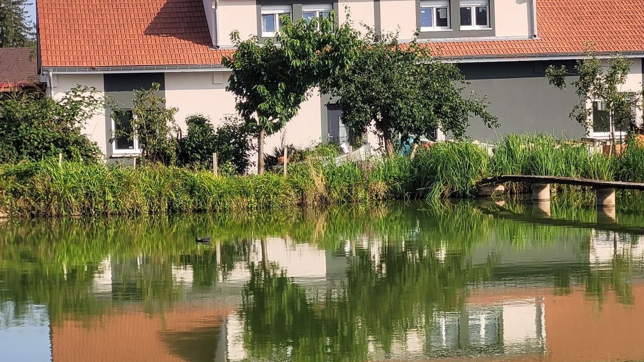 Photo of Outdoor in Petitefontaine