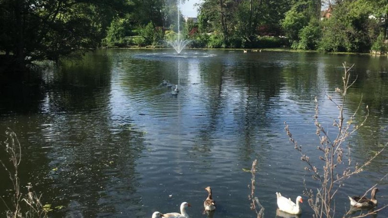 Photo of Outdoor in Wambrechies