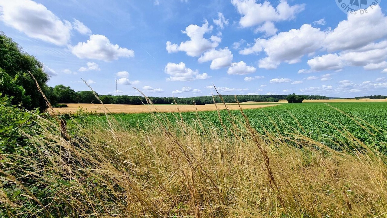 Photo of Others in Maudetour-en-Vexin